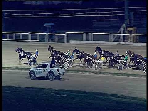 Trotto 18/11/2018 - 6ª corsa