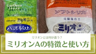 【根腐れ防止剤】ミリオンAの特徴と使い方、ミリオンとの違いは?【珪酸塩白土】