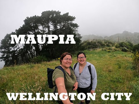 Walking around Maupia in Wellington NZ