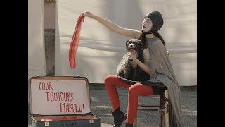 Trailer Preview Image