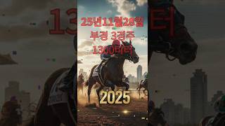25년 11월 28일 금요일 부경3경주 1300미터 #부경경마#주말경마#금요경마#11월경마