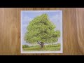 Drawing A Tree With Simple Colored Pencils Faber Castell