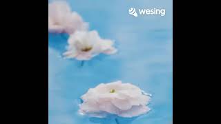Download lagu Video ini dari WeSing mp3 Download lagu Video ini dari WeSing mp3