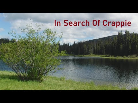 In Search Of Crappie