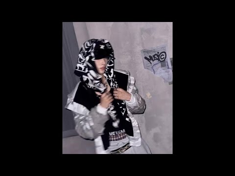 she will (ladies and gentlemen drizzy) tiktok edit - extended version