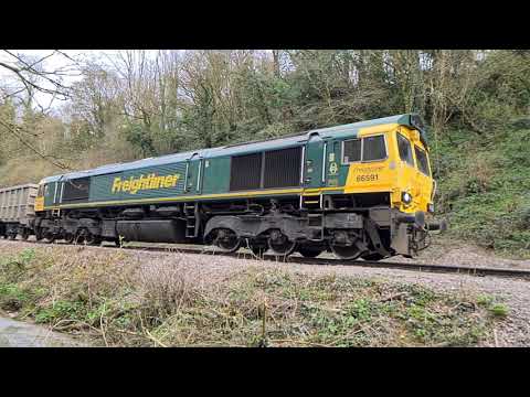 Freightliner Class 66 (66591)