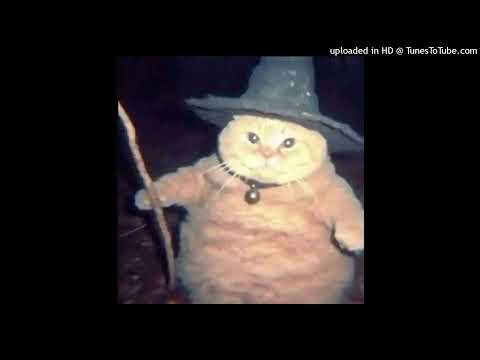 MEIGOS E ABUSADOS x JOGA PRO COROA DJ KOALA6 x DJ ROBOCOP