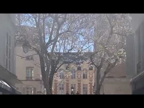 Walking in the Place de Furstenberg, Paris