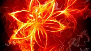 Wojciech Kilar "Agnus Dei" König der letzten Tage