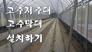 고추지주대 고추막대 설치하기 V자형