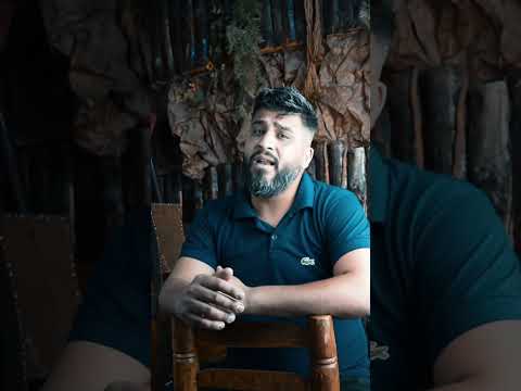 ناصيف زيتون لرميك ببلاش اكسبلور