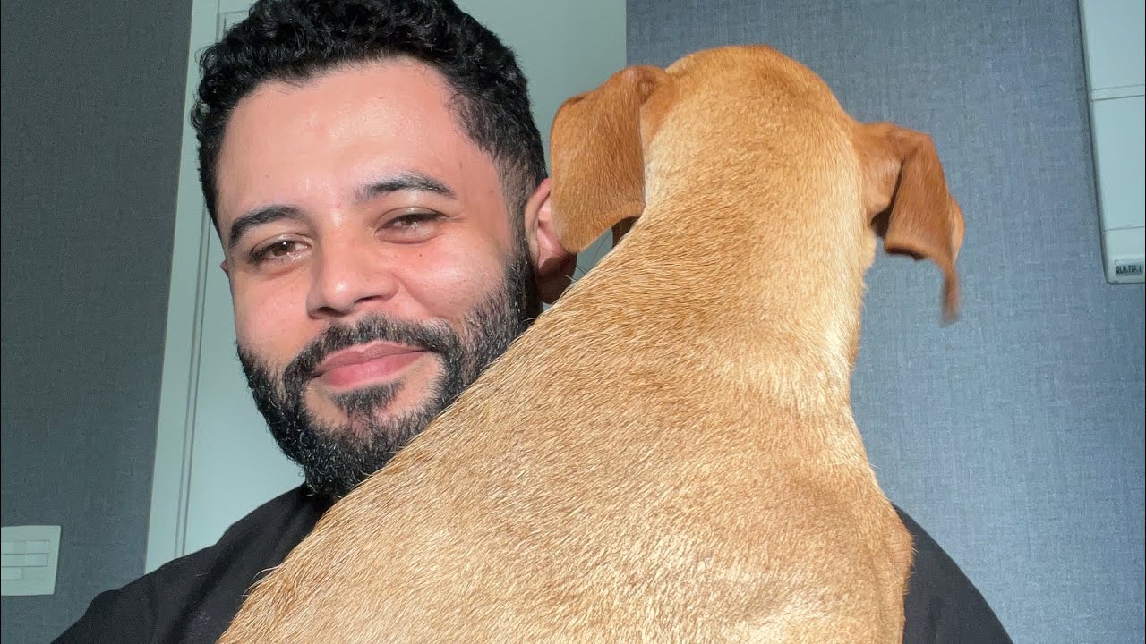 Como estudei para ser aprovado em 03 meses - escrevente TJSP.