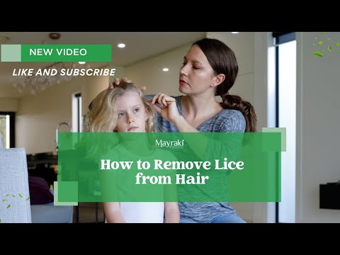How to Remove Lice from Hair.