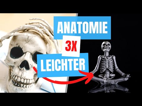 Mach diese 12 Sachen, um NICHT in Anatomie durchzufallen!