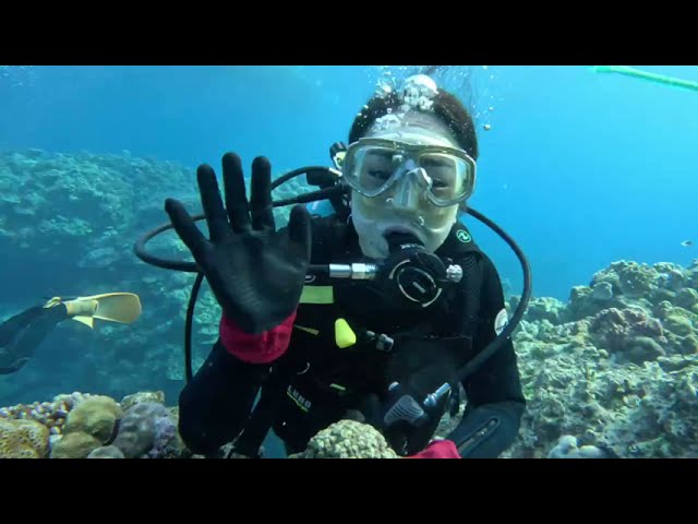沖縄ダイビングサービス潜水屋
