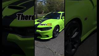 What Shade Of Tint Is Right For You ?