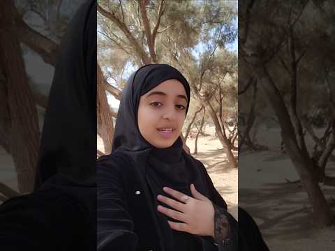 قلبي في المدينة
