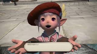 ファイナルファンタジーXIV_ラグナロク帰還2