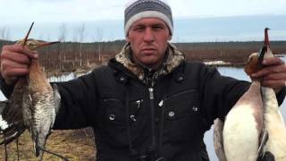Что такое рыболовные и охотничьи туры