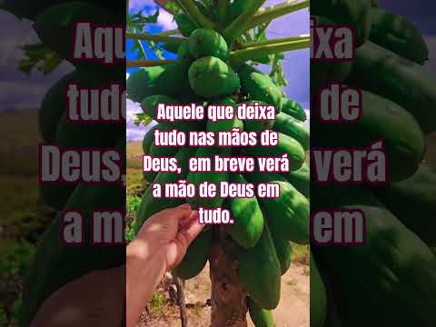 # natuba #paraiba #shortssuperaçãopessoal #shortssabedoriadevida #shortsmotivaçãodiária #soufeliz