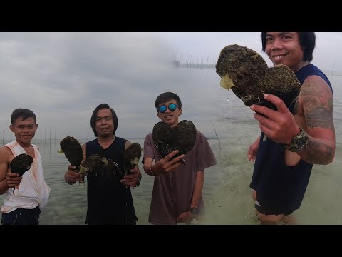 SE02EP114 Part 2 - PAG BANGON NG ISLA sa PANANALANTA ng BAGYONG PAENG | ISLA GRANDE, Pagbilao Quezon