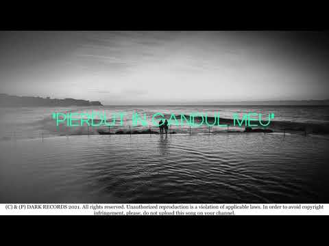 Razvan feat.Marin -RĂSPUNS (Official Audio)