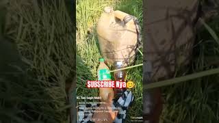 Download lagu Penampakan hasil dari 3x aplikasi Biosaka, MKP,  POC berbiosaka dan kohe kambing. Relawan Pak Jajang mp3