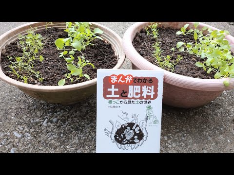 ミミズ 菜園 減土作業 マルチング 生息環境改善