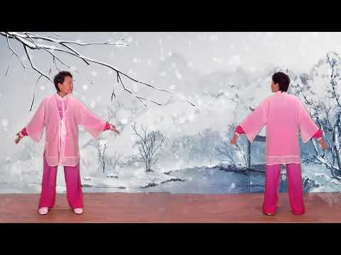 Health Qigong - Ba duan Jin / Eight Pieces of Brocade by Li Hui (Faye Yip) [1080p]