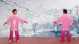 Health Qigong - Ba duan Jin / Eight Pieces of Brocade by Li Hui (Faye Yip) [1080p]