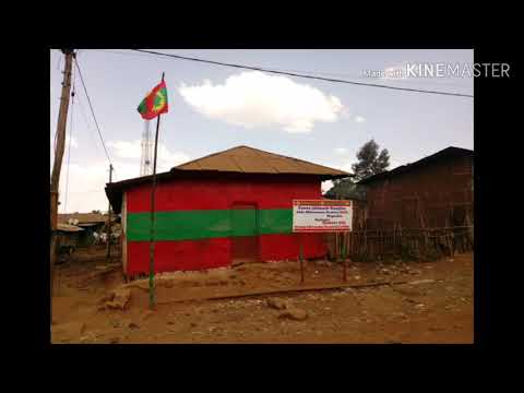 😂😂😂😂Shittoo dibatu jennaan bakkanniisa ulatte-Ayyalaa Nugusee