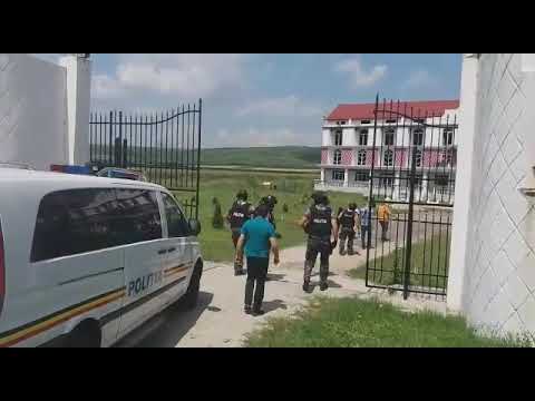 Percheziție Breasta Dolj