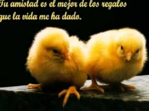 QUE GANO YO LOS WAWANCO