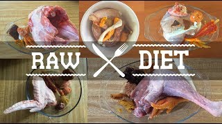 Download lagu Close up Raw Feeding Dogs Compilation mp3 Download lagu Close up Raw Feeding Dogs Compilation mp3