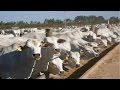 Curso Administração da Pequena Empresa Rural