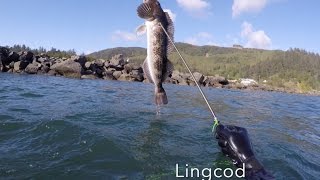 Barview Jetty Oregon Spearfishing