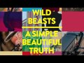 Wild Beasts - A Simple Beautiful Truth (Lone Remix ...