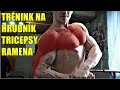 Trénink: Hrudník, tricepsy, ramena | 1 týden do Diamond Cupu 2016