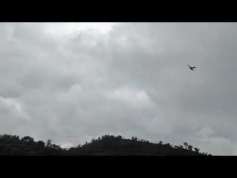 Feel this nature💚Nature Love💚 #himachalpradesh #india #fun #trending #viral #pahadi #pahadilifestyle