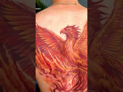 Full back Phoenix tattoo! ❤️‍🔥