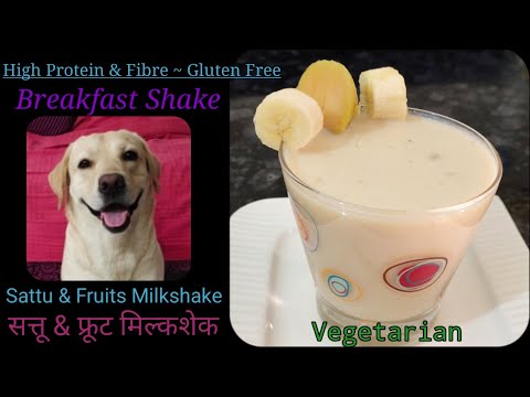 High Protein & Fibre, Gluten Free VEGETARIAN Sattu & Fruit Milkshake for my dog.Vitamin Mineral rich