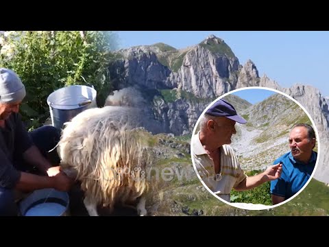 Ekspeditë në Bjeshkët e Radeshës/ Një Udhëtim në Natyrën e Mrekullueshme të Tropojës