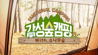 강원도 평창가볼만한곳 | 소나무가 가득한 숲에서의 하룻밤