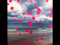 The Legendary Pink Dots - Legacy (06)