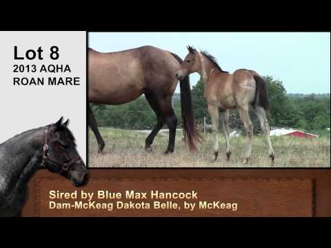 Lot 8-2013 Roan Mare by Blue Max Hancock