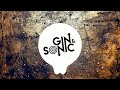 Shakira Hips Don T Lie Feat Wyclef Jean Gin And Sonic Remix