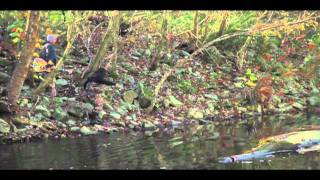 Shooter Jennings - Outtake - Falling In The River - "The Deed and The Dollar" Music Video Shoot