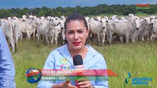 Miniatura do vídeo
