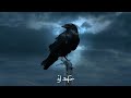 Shars 2023 Letra #shars #alsafir