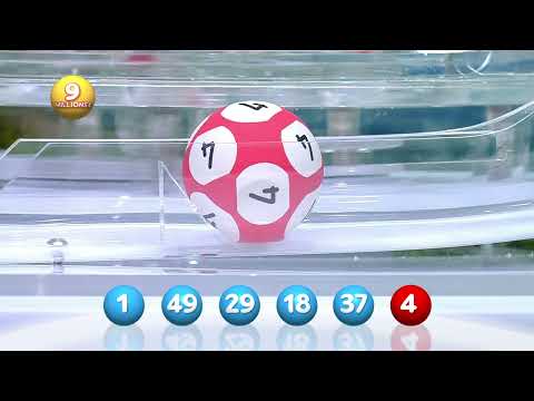 Tirage LOTO® du 29 juillet 2023 - Résultat officiel - FDJ